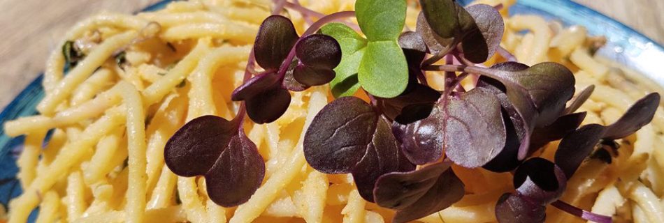 culinary uses of microgreens