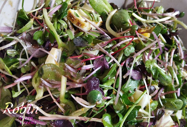 culinary uses of microgreens robins microgreens vaud